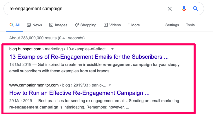 Top two Google results for "re-engagement campaign" search.
